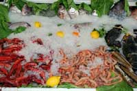Fresh seafood from Garrucha market.